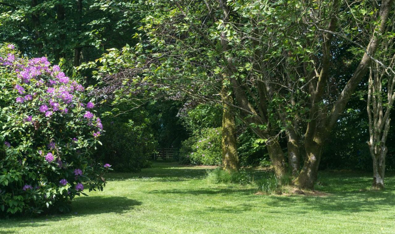 Pensjonat Blacket House Eaglesfield Zewnętrze zdjęcie